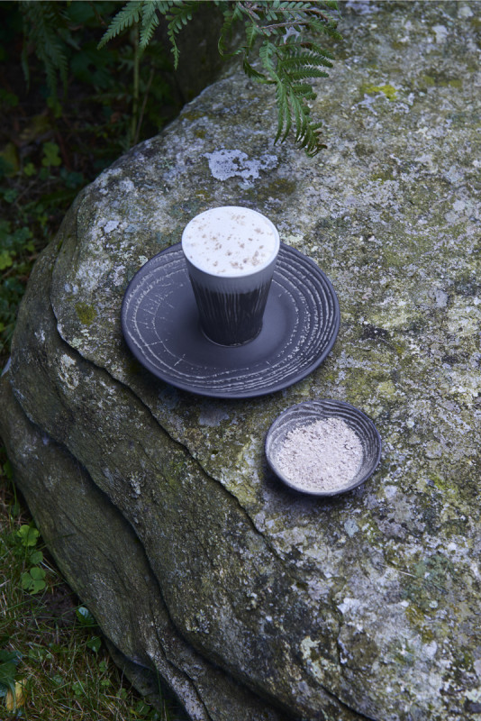 Assiette coupe plate rond noir porcelaine Ø 28,3 cm Arborescence Revol