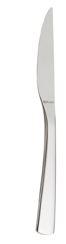 Couteau de table monobloc cranté 22 cm Izia Pro.mundi
