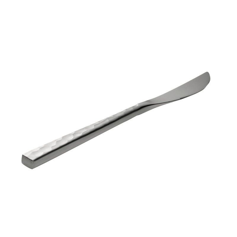 Couteau de table monobloc 21,5 cm Fuse Martele Degrenne
