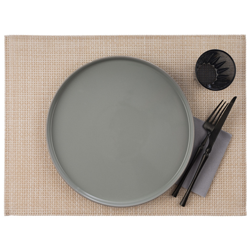 Set de table plastique rectangulaire beige 45x33 cm Aps